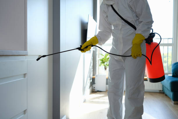 Westminster, TX Mold Remediation Company