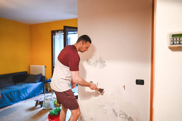 Trusted Westminster, TX Mold Remediation Experts